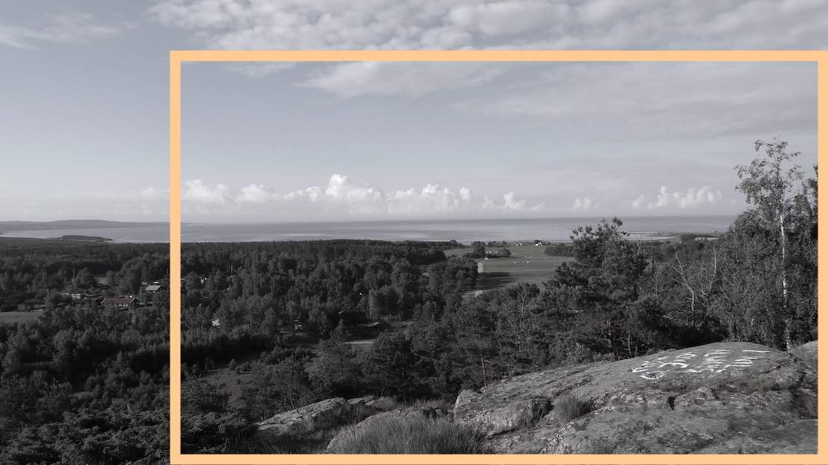 photo of forest and seaside Swedish coastal landscape taken from top of a hill
