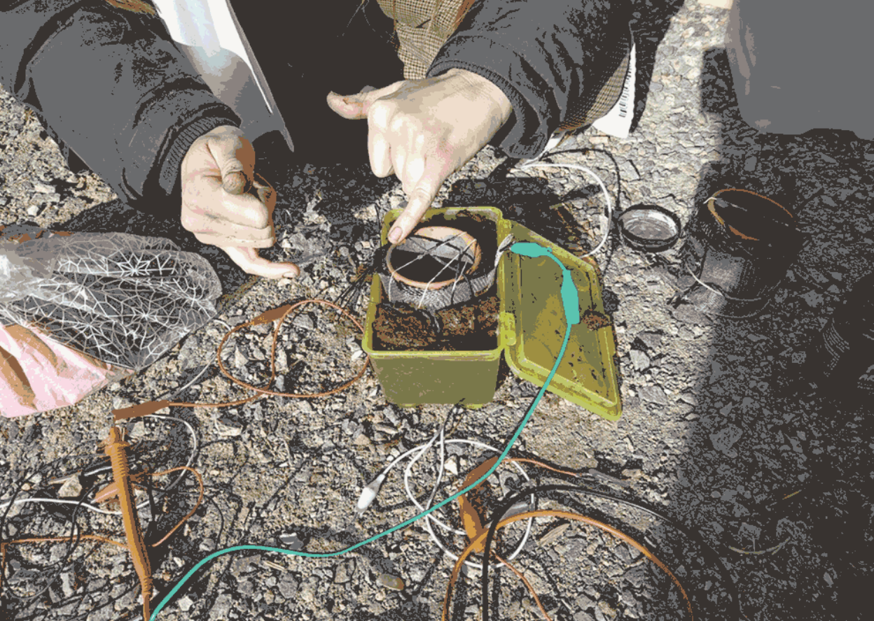 Photo of hands working with chicken poo fuel cell